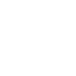 insta logo